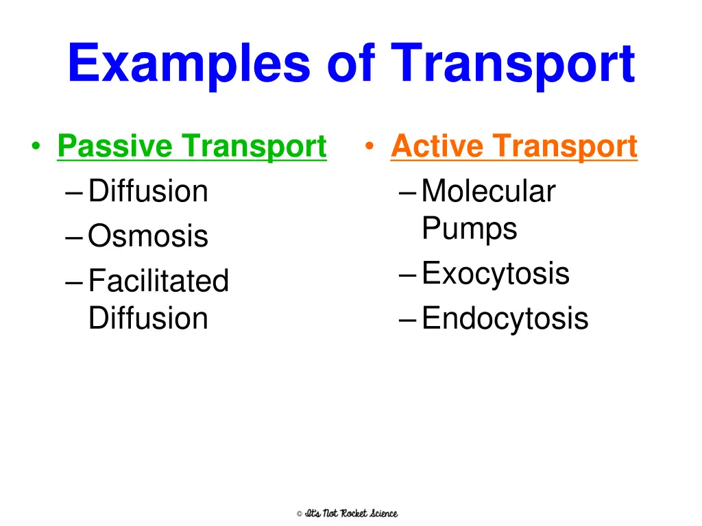 examples of transport