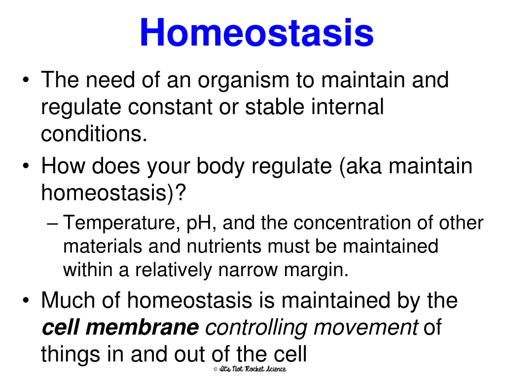 homeostasis