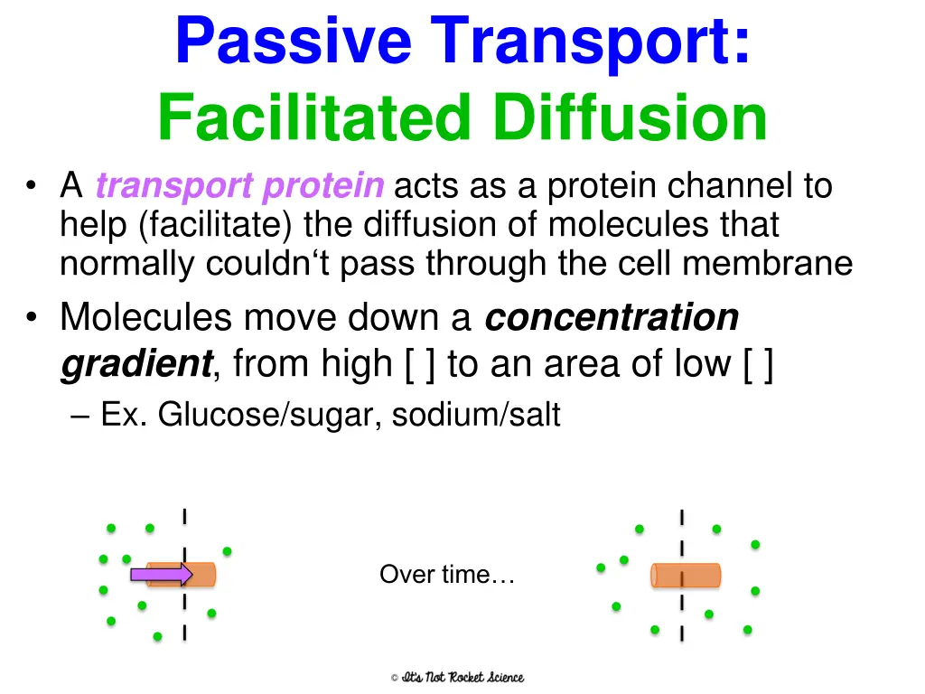 passive transport facilitated diffusion