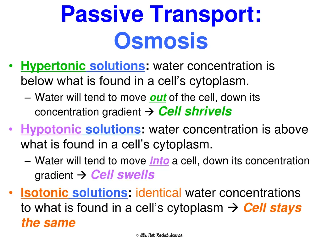 passive transport osmosis 1