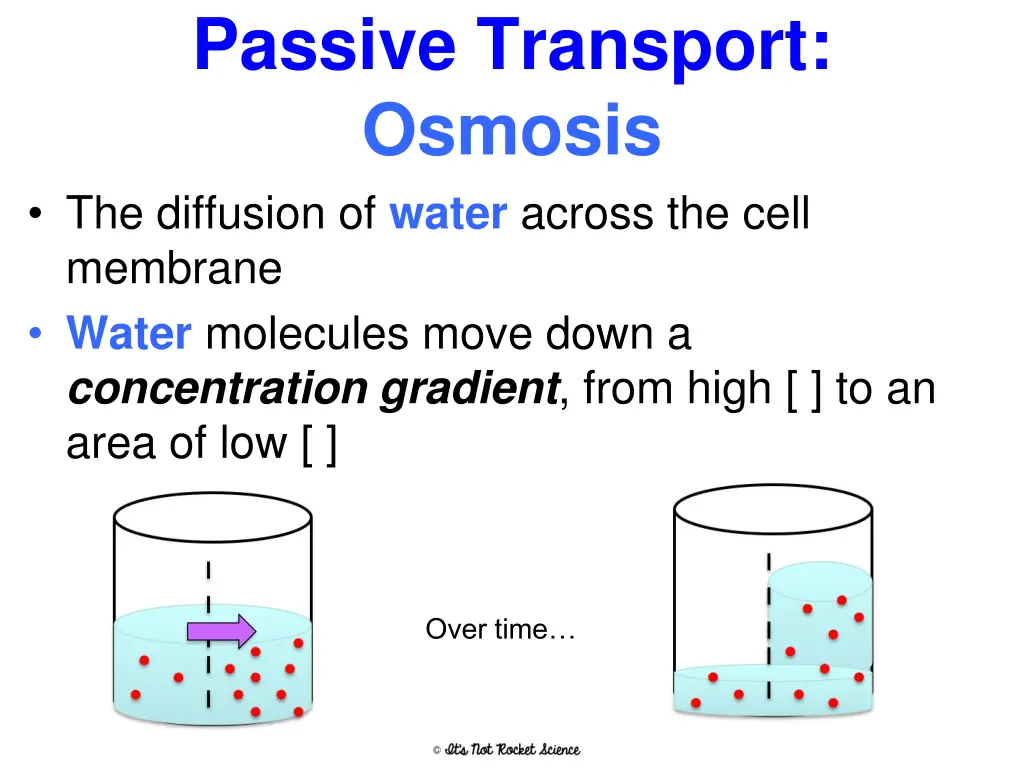 passive transport osmosis