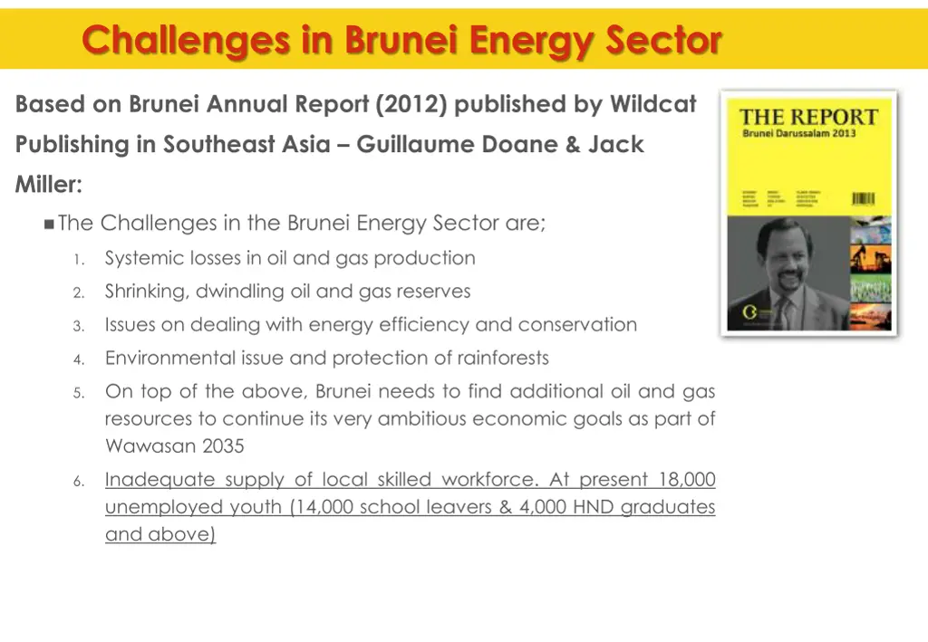 challenges in brunei energy sector