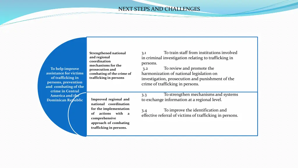 next steps and challenges 1