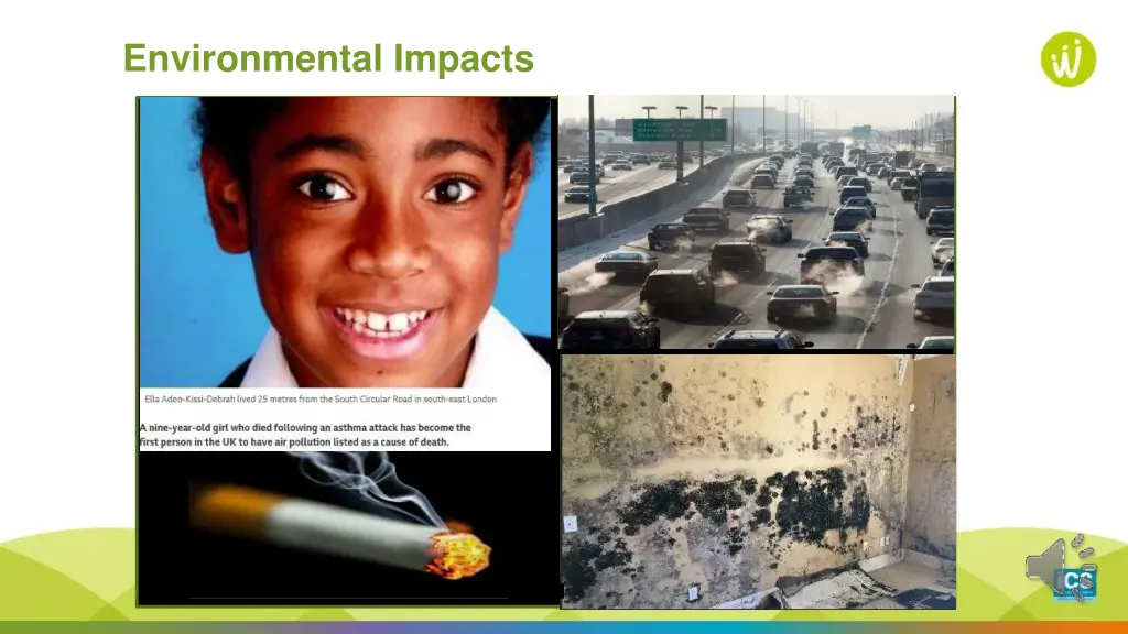 environmental impacts