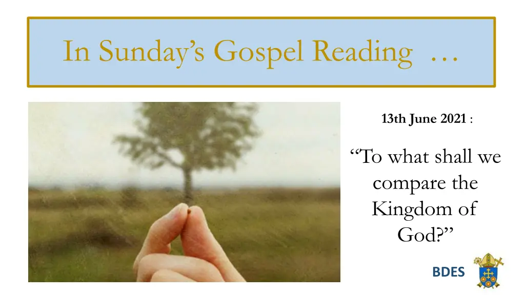 the synoptic problem in sunday s gospel reading