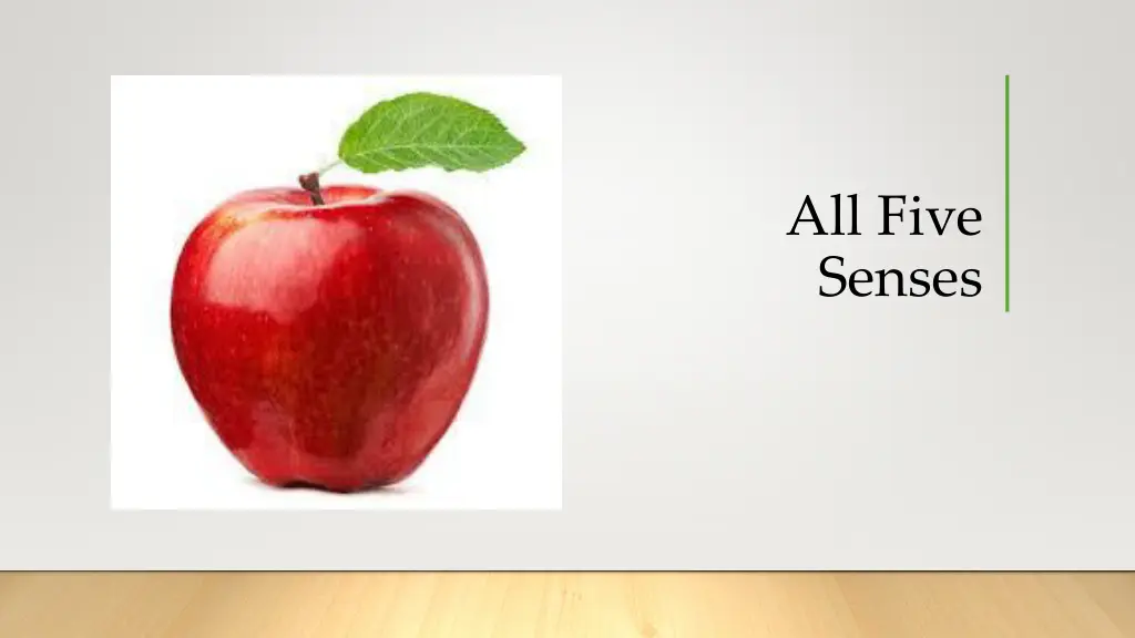 all five senses