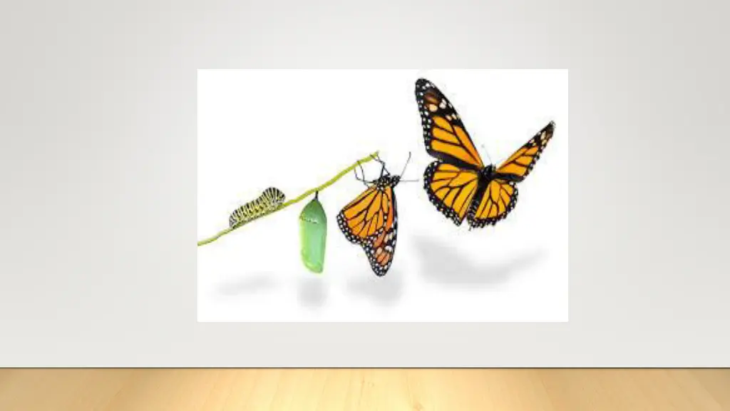 slide5