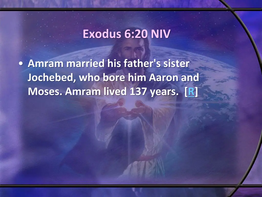 exodus 6 20 niv