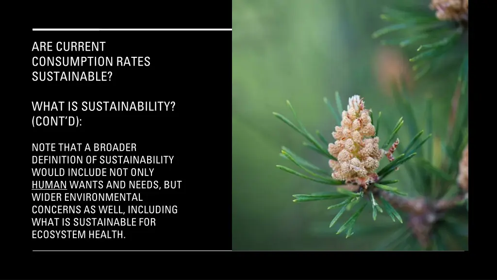 are current consumption rates sustainable 1