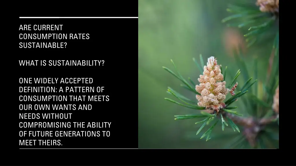 are current consumption rates sustainable