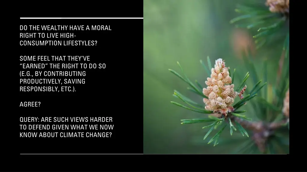 do the wealthy have a moral right to live high