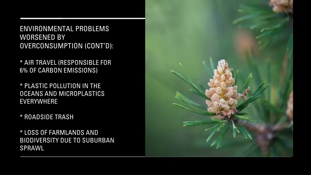 environmental problems worsened