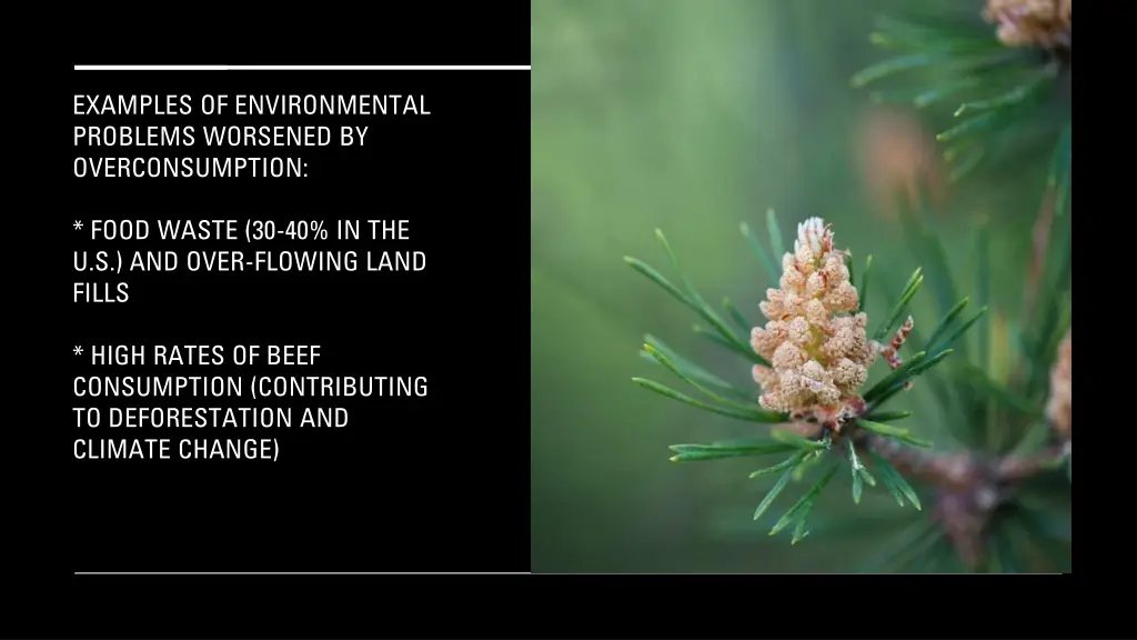 examples of environmental problems worsened