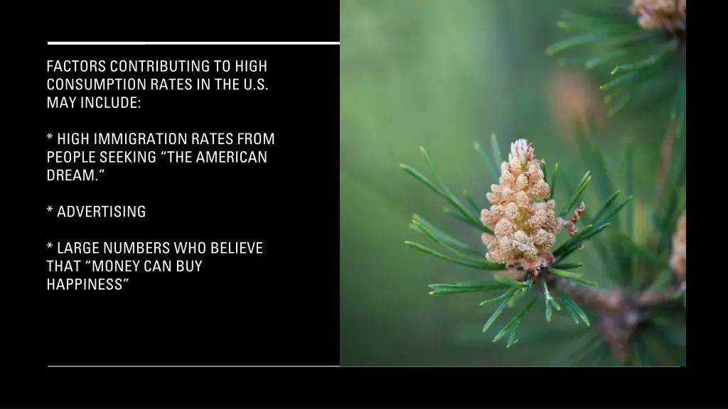 factors contributing to high consumption rates