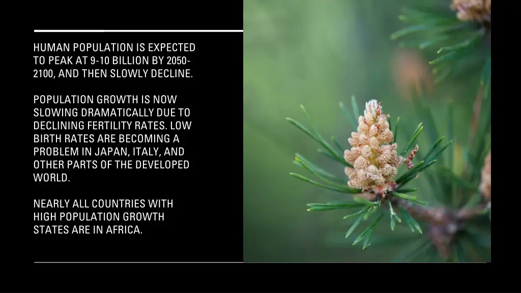 human population is expected to peak