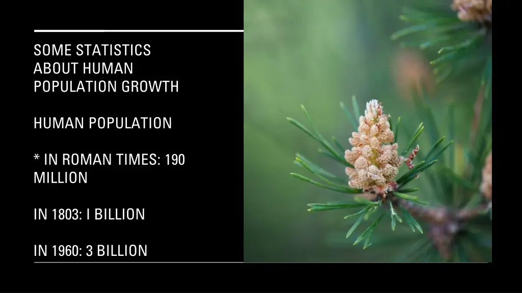 some statistics about human population growth