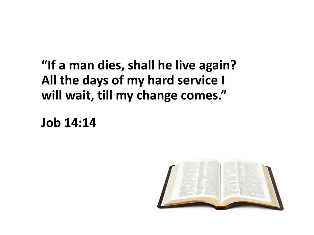 if a man dies shall he live again all the days