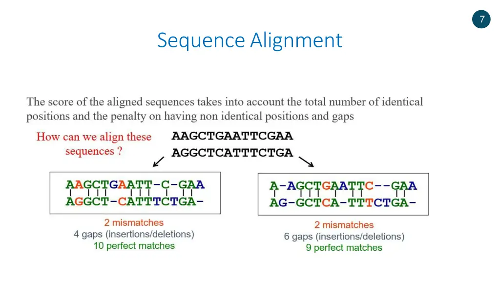 slide7