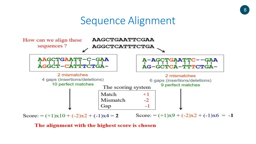 slide8