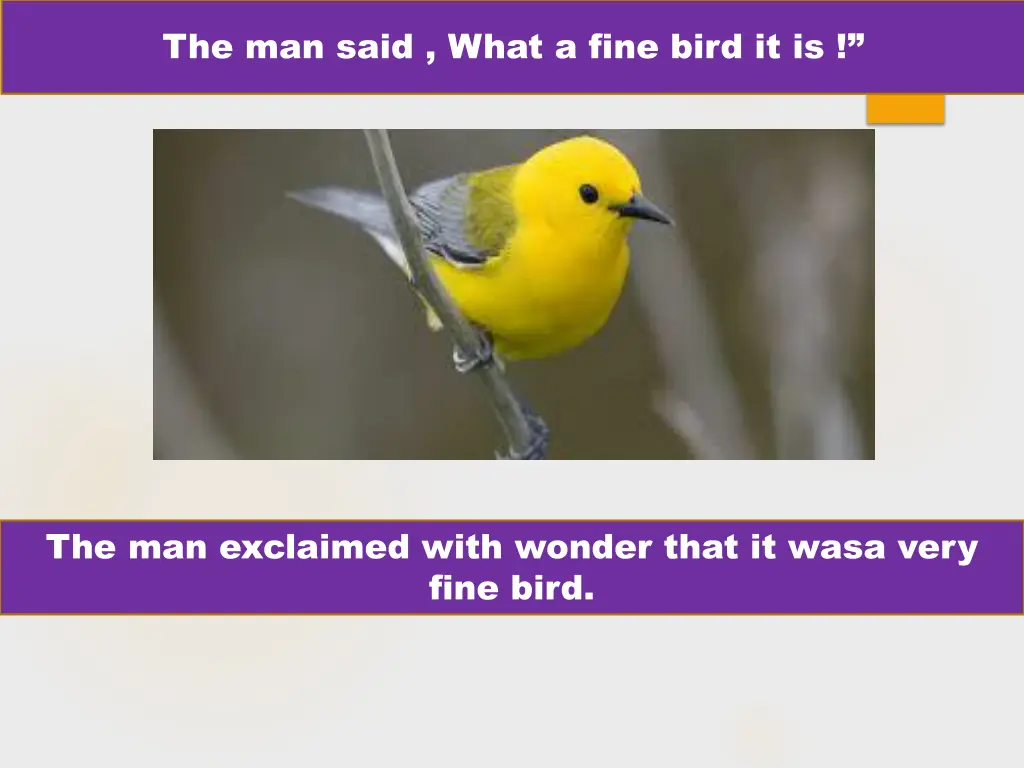 the man said what a fine bird it is