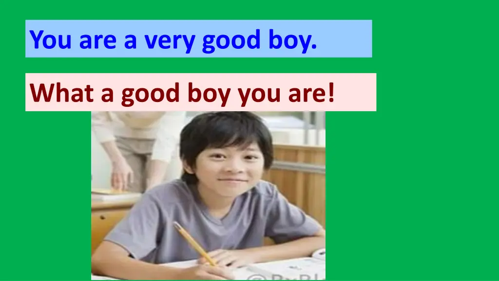 you are a very good boy