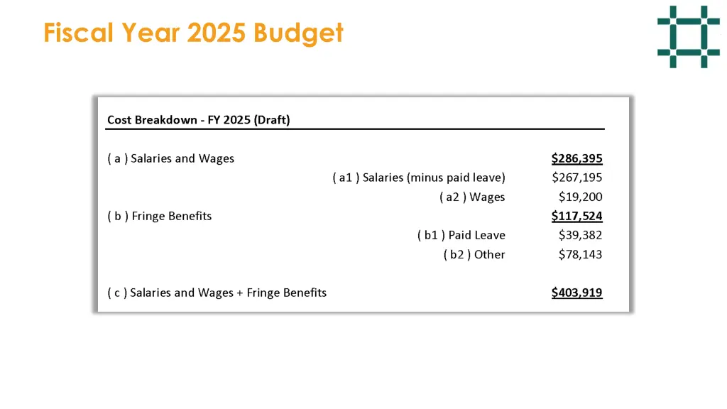fiscal year 2025 budget