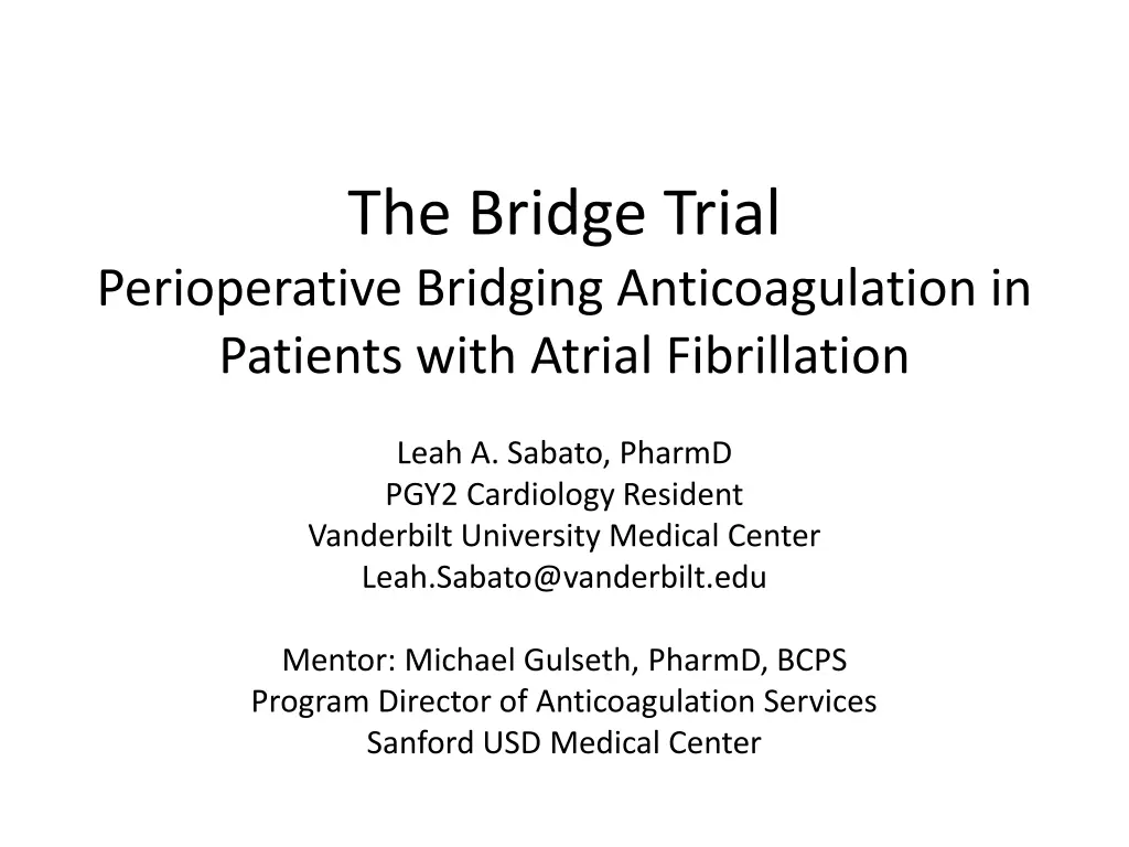 the bridge trial 1