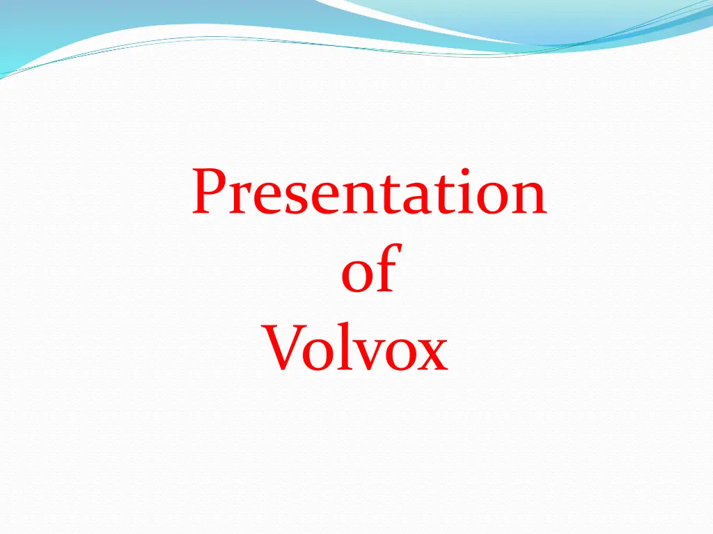 presentation of volvox