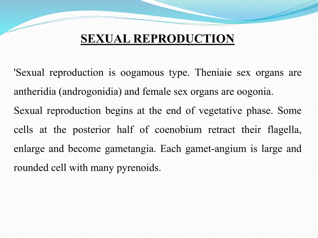 sexual reproduction