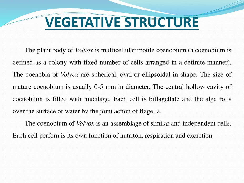 vegetative structure