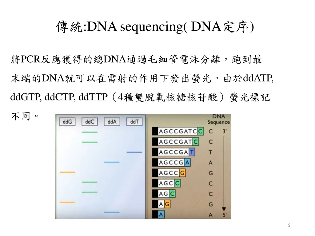 dna sequencing dna 1
