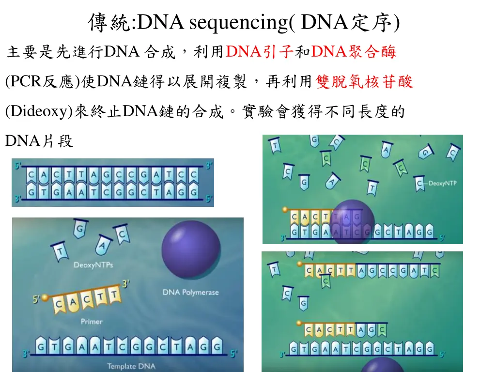 dna sequencing dna dna dna dna