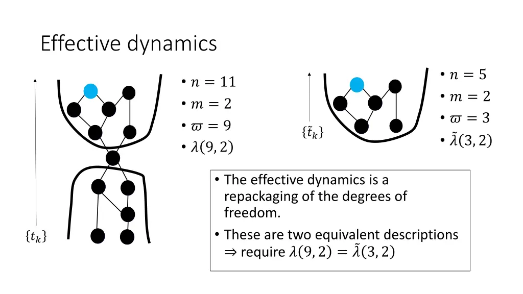 effective dynamics 1