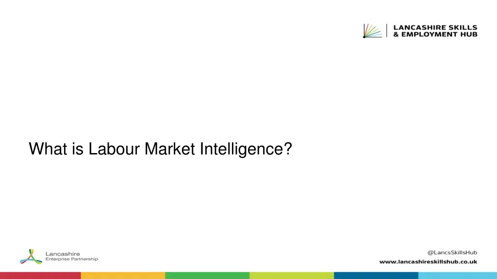 what is labour market intelligence