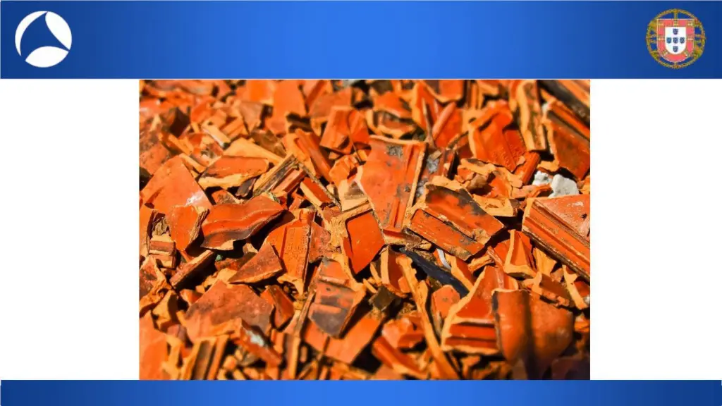 slide29