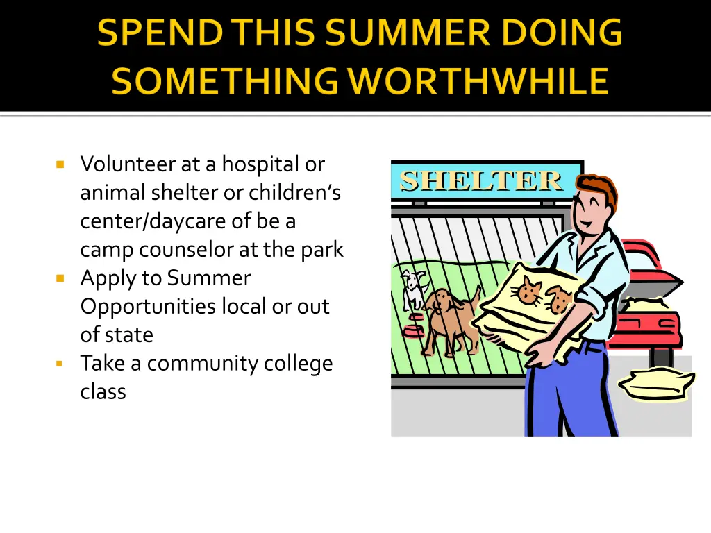 volunteer at a hospital or animal shelter