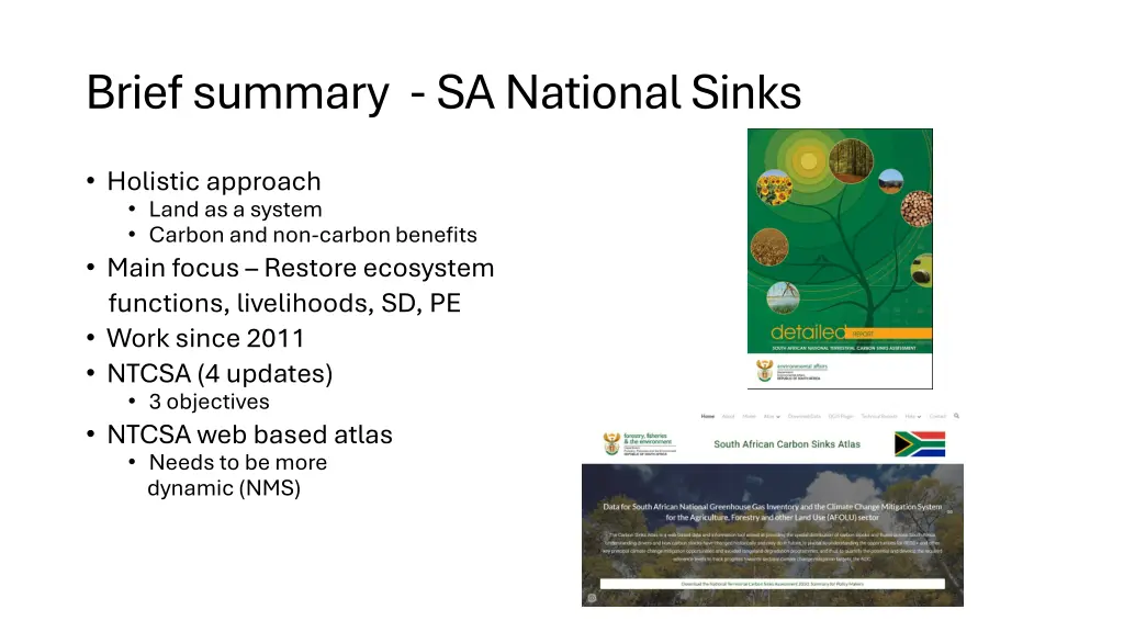 brief summary sa national sinks