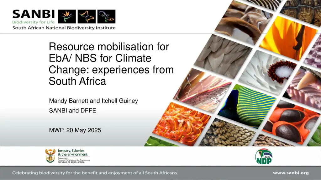 resource mobilisation for eba nbs for climate