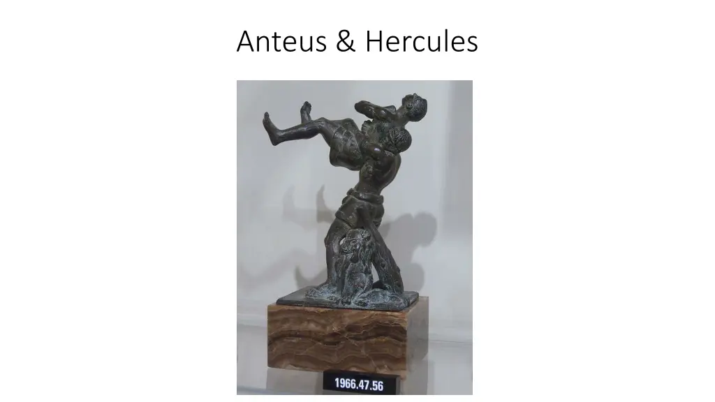 anteus hercules