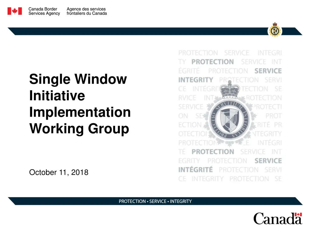 single window initiative implementation working