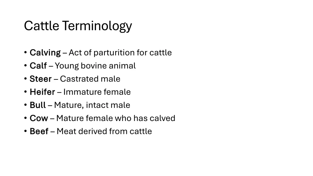 cattle terminology
