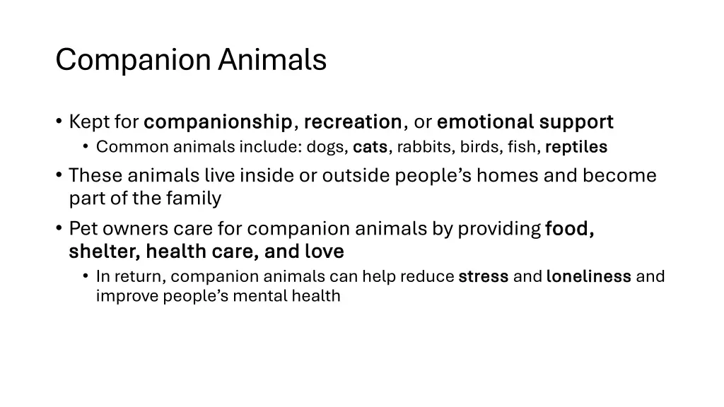 companion animals