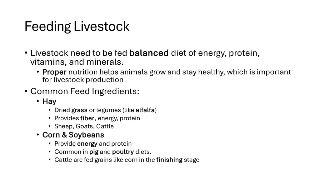 feeding livestock