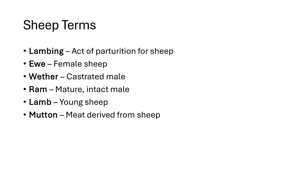 sheep terms