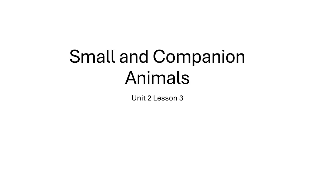 small and companion animals unit 2 lesson 3