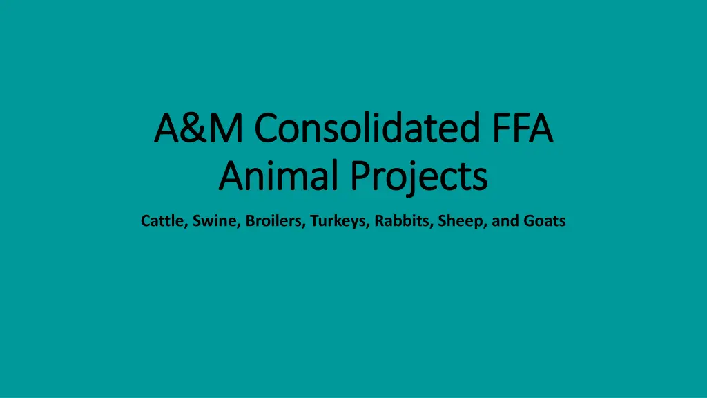 a m consolidated ffa a m consolidated ffa animal