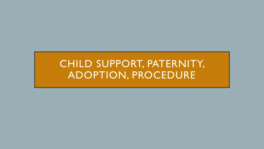 child support paternity adoption procedure