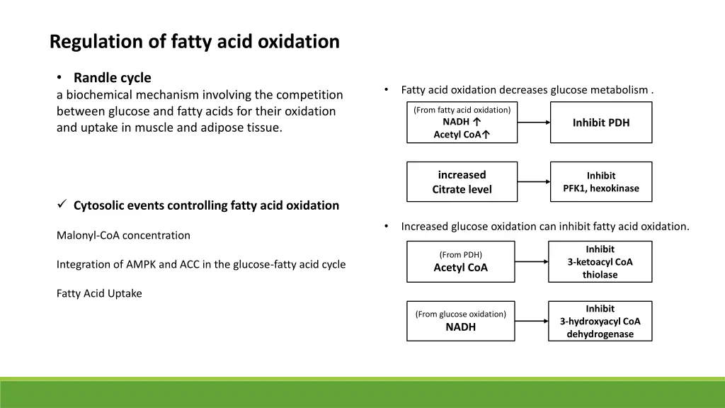 regulation of fatty acid oxidation