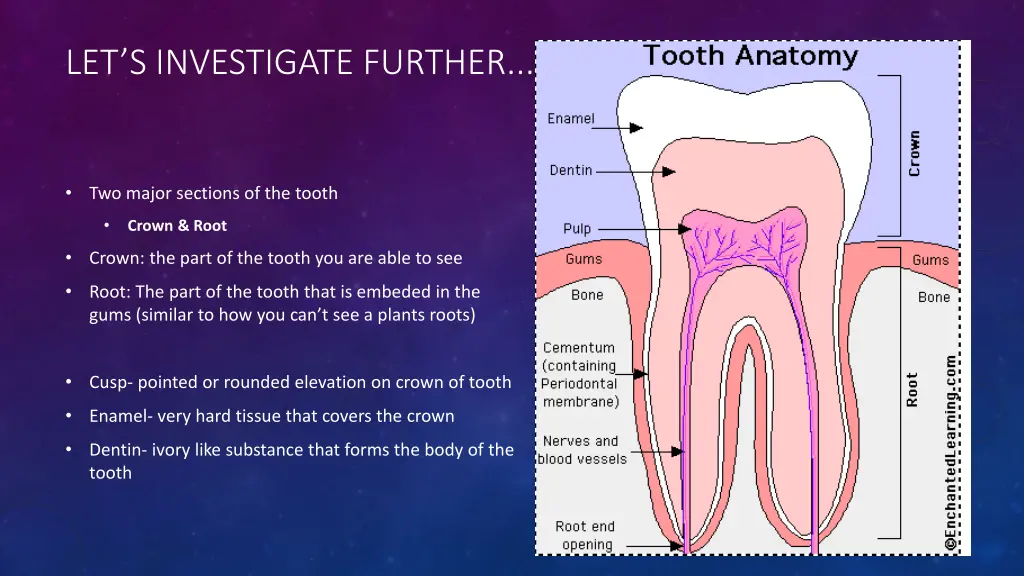 let s investigate further