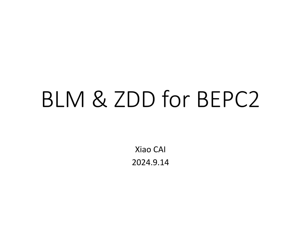 blm zdd for bepc2